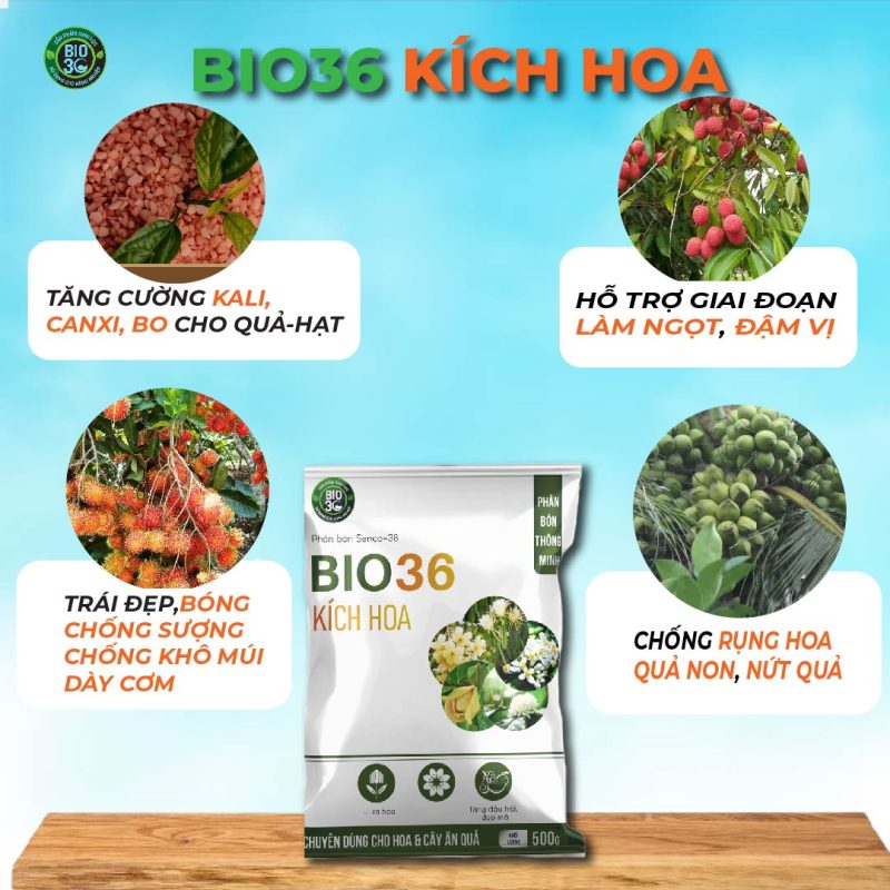 TOP 6 phân bón kích hoa hiệu quả nhất 2025 3 Phân bón kích hoa Bio36