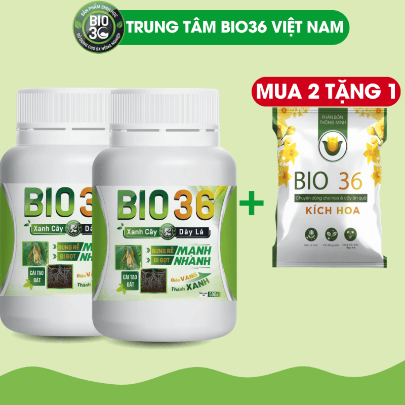 TOP 10+ phân bón kích rễ hiệu quả nhất hiện nay 3 Cách chọn và sử dụng sản phẩm kích rễ hiệu quả
