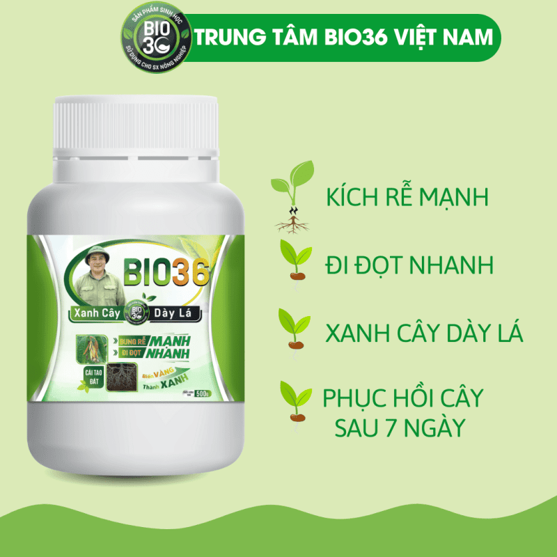 TOP 10+ phân bón kích rễ hiệu quả nhất hiện nay 2 Phân bón kích rễ là gì?