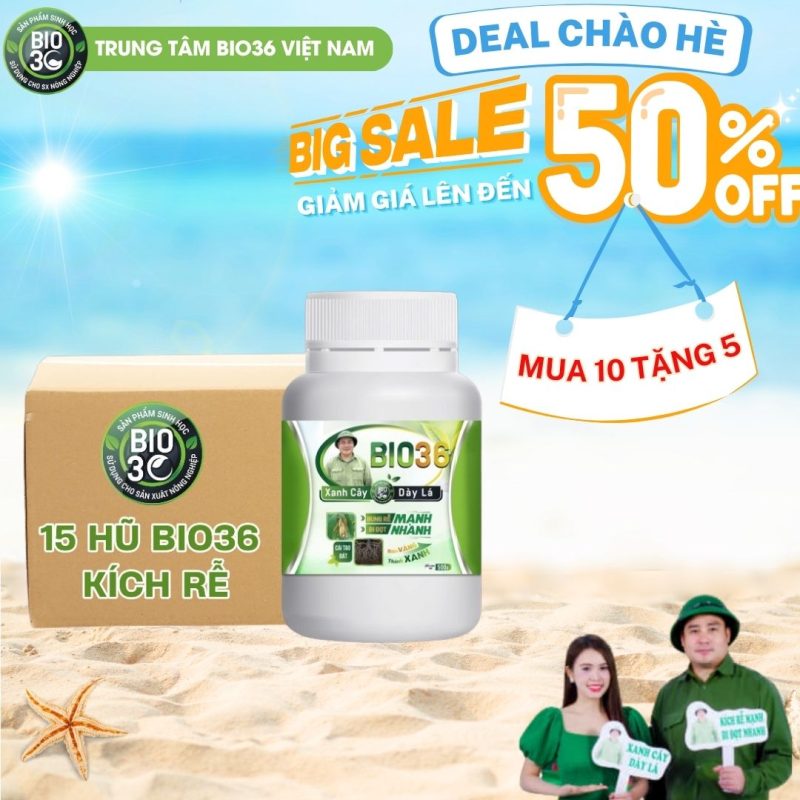 Phân Bón Lá Kích Rễ- Giải Pháp Hiệu Quả Giúp Cây Phát Triển Nhanh, Rễ Khỏe, Năng Suất Cao 3 Lưu ý khi sử dụng phân bón lá kích rễ