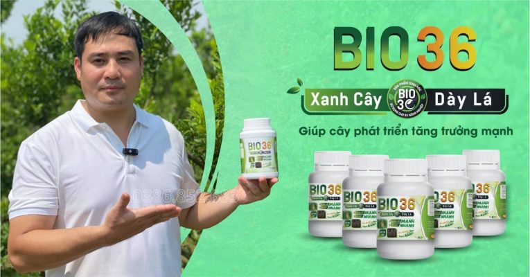 Bio36 có tốt không? Đánh giá chi tiết từ người đã sử dụng 2 Bio 36 là gì