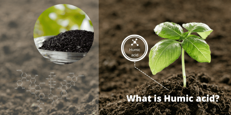 Axit Humic Có Tác Dụng Gì? Lợi Ích Tuyệt Vời Cho Đất Và Cây Trồng 2 Axit humic là gì?