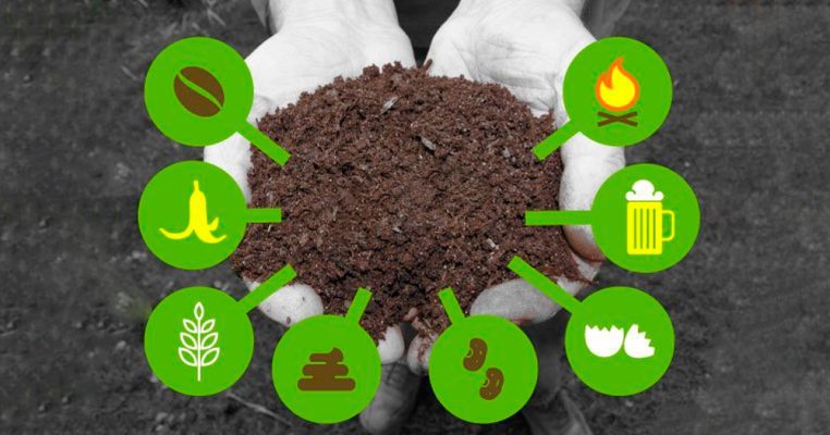 Các Loại Phân Bón Phổ Biến Hiện Nay Và Cách Sử Dụng Hiệu Quả 2 Các loại phân hữu cơ