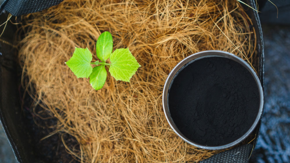 Axit Humic Có Tác Dụng Gì? Lợi Ích Tuyệt Vời Cho Đất Và Cây Trồng 3 Cách sử dụng Axit Humic đúng cách