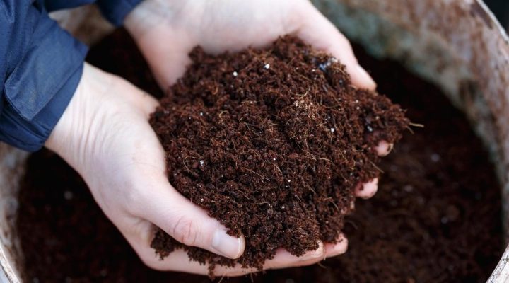 Phân Bón Hữu Cơ: Giải Pháp Bền Vững Cho Nền Nông Nghiệp Hiện Đại 3 Cách sử dụng phân bón hữu cơ hiệu quả