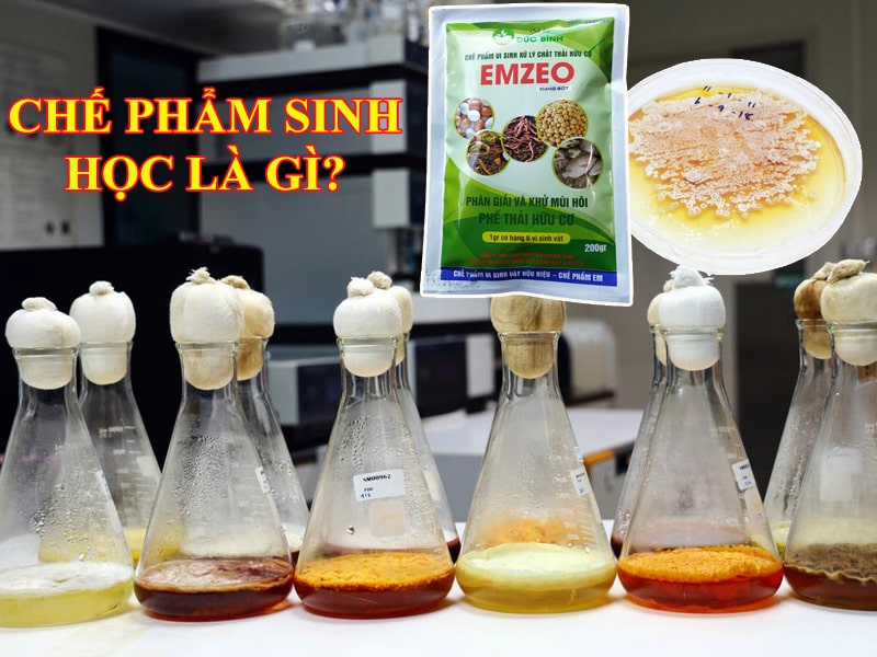 Chế Phẩm Sinh Học: Giải Pháp Nông Nghiệp Bền Vững Cho Tương Lai Xanh 2 Che pham sinh hoc la gi