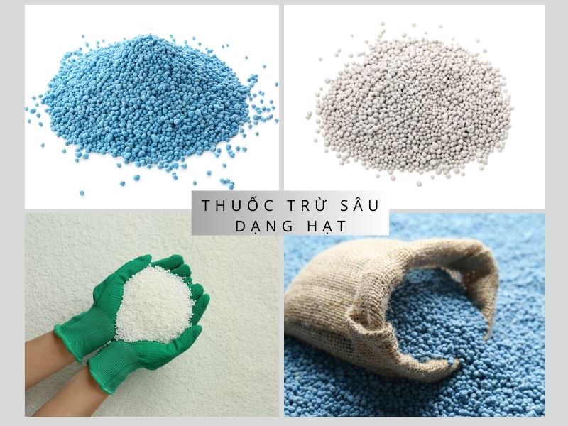 Các loại thuốc trừ sâu phổ biến nhất thị trường hiện nay 4 Thuốc trừ sâu dạng hạt