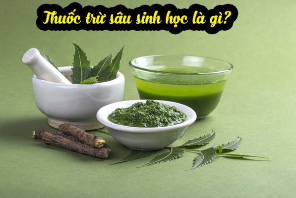 Thuốc diệt sâu sinh học là gì? TOP 9 loại thuốc diệt sâu tốt nhất 2025 2 Thuốc trừ sâu sinh học là gì